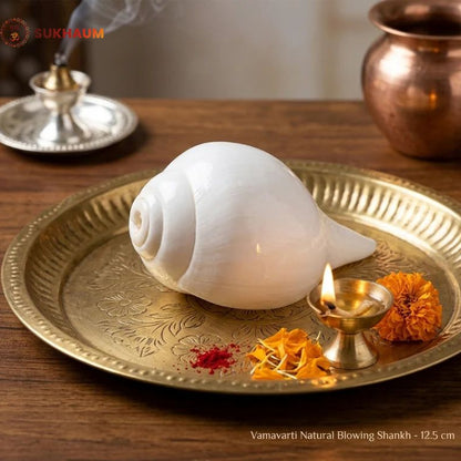 Shankha (Conch Shell) – Natural Blowing Shankh