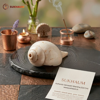 Shankha (Conch Shell) – Natural Blowing Shankh