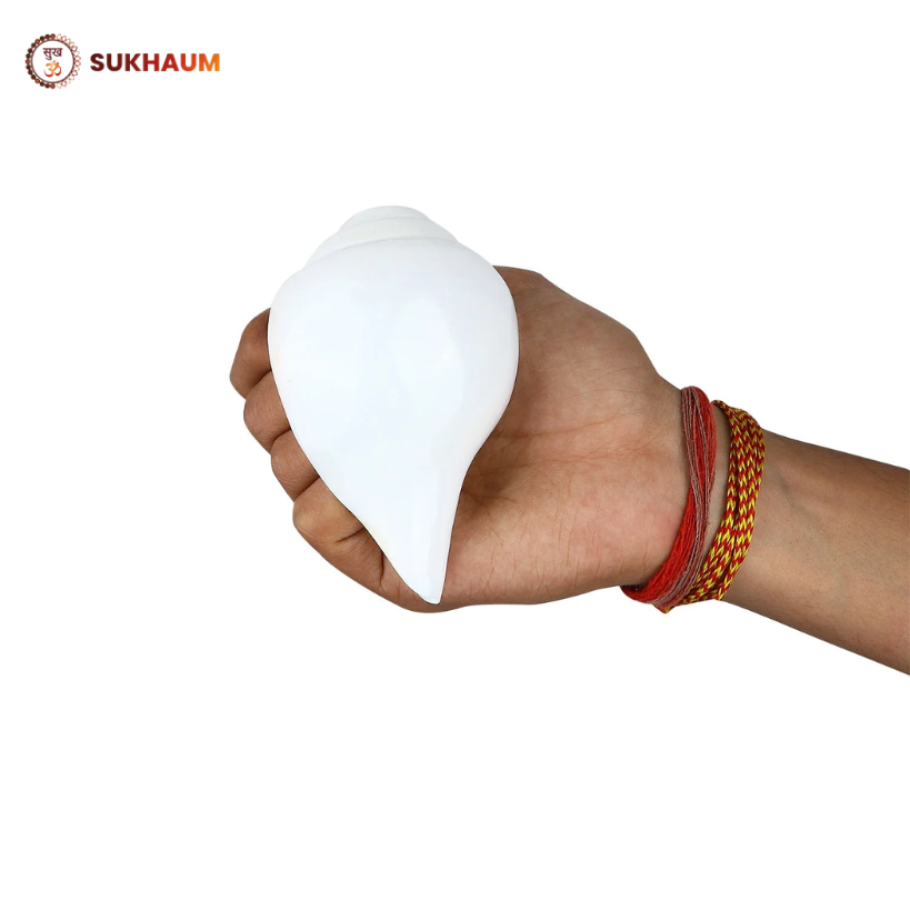 Shankha (Conch Shell) – Natural Blowing Shankh