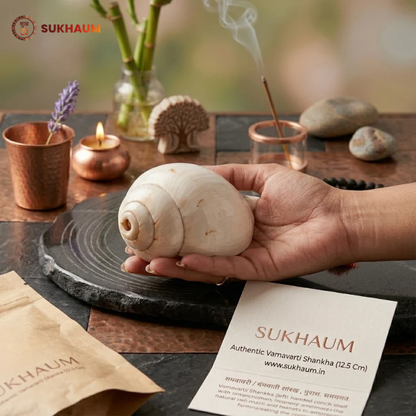 Shankha (Conch Shell) – Natural Blowing Shankh