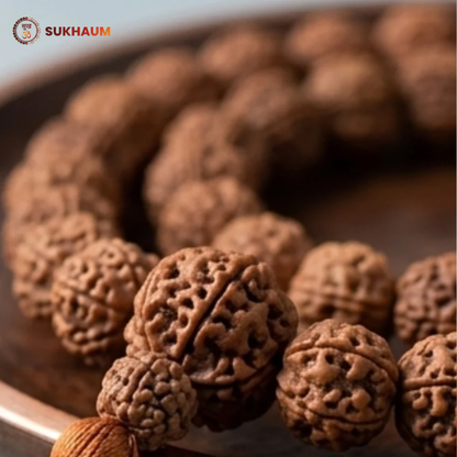 5 Mukhi Special Kantha Rudraksha Mala